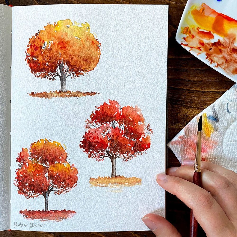 Easy Beginner Painting Ideas For Watercolour Watercolour Workshop