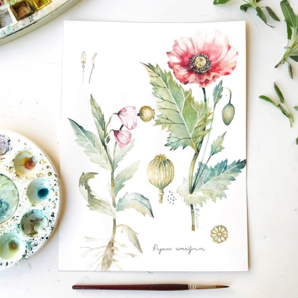 Loose Floral Abstract Watercolors, White Watercolor Paint 