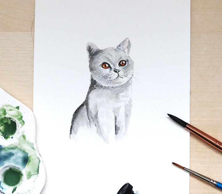 How To Draw And Paint A Cat With Watercolour Watercolour Workshop